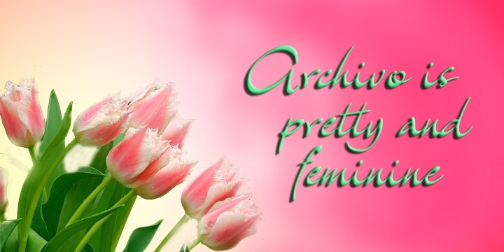 Archivo Font Poster #5