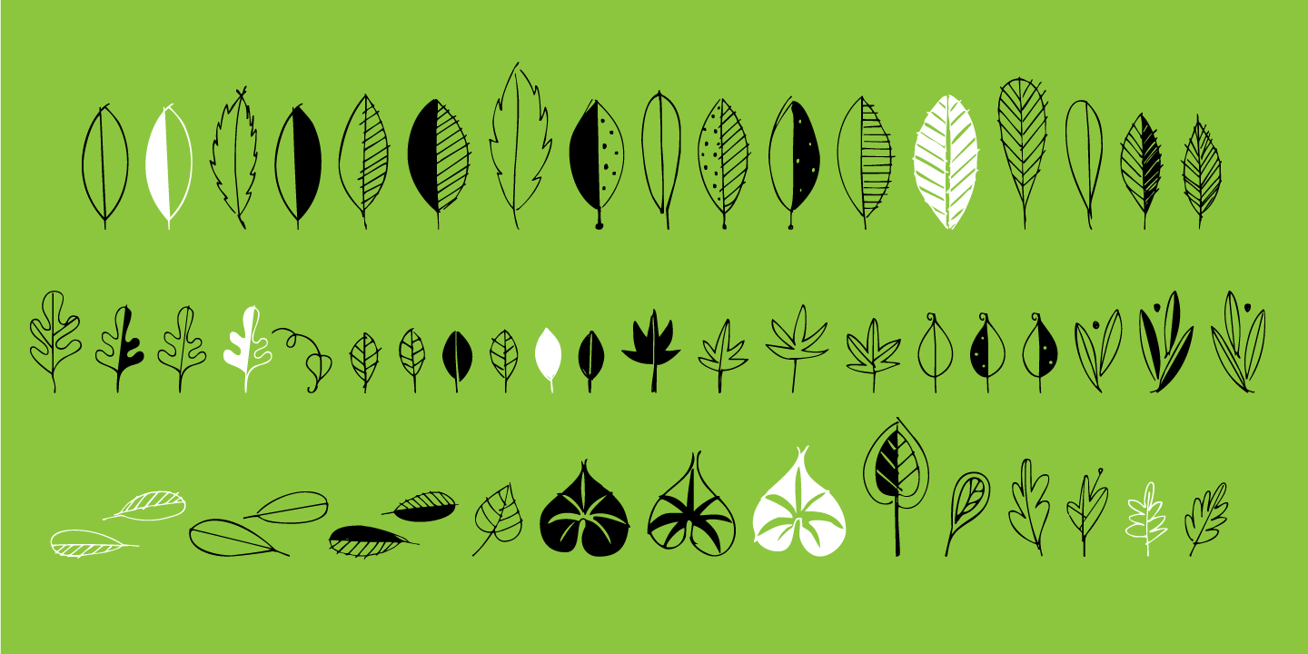Leaf Doodles Font Poster #1