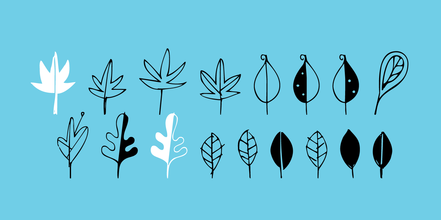 Leaf Doodles Font Poster #1