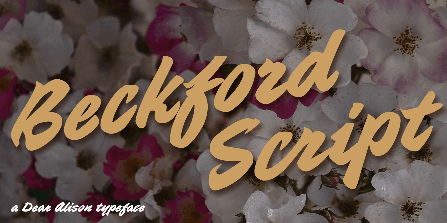 Beckford Script Font Family