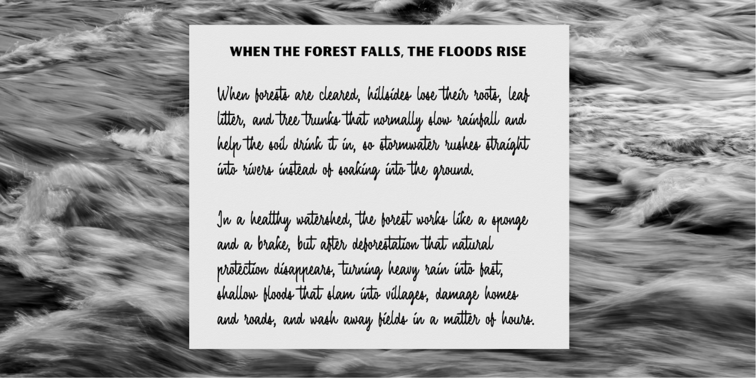 Fairforest Font Poster #4