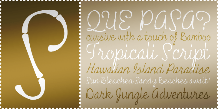 Tropicali Script BTN Font Family Poster