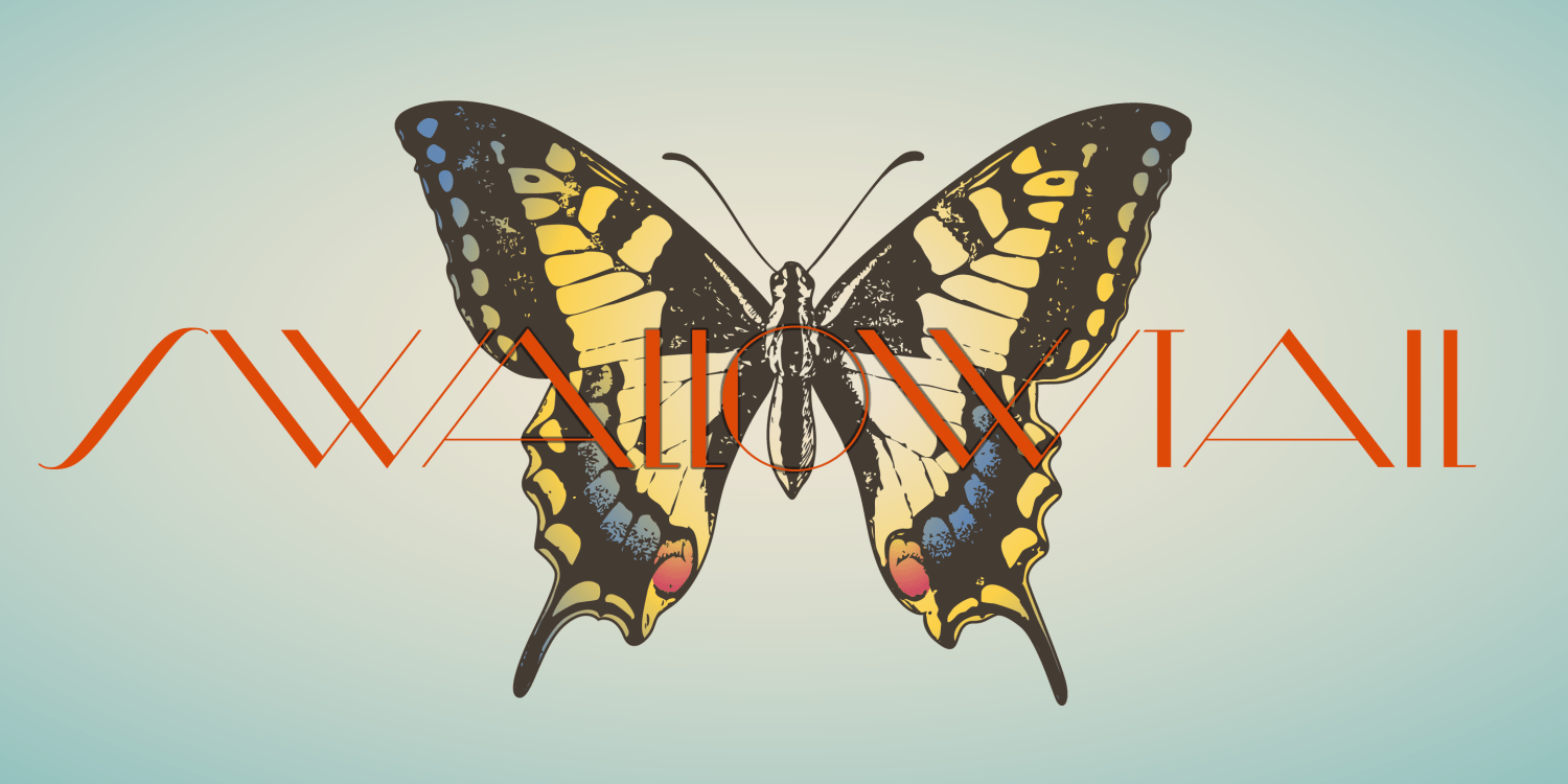 Diamond Ring Font Poster #5