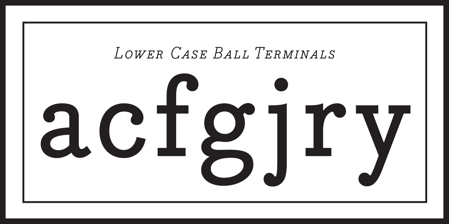 Bodoni Egyptian Pro Font Poster #1