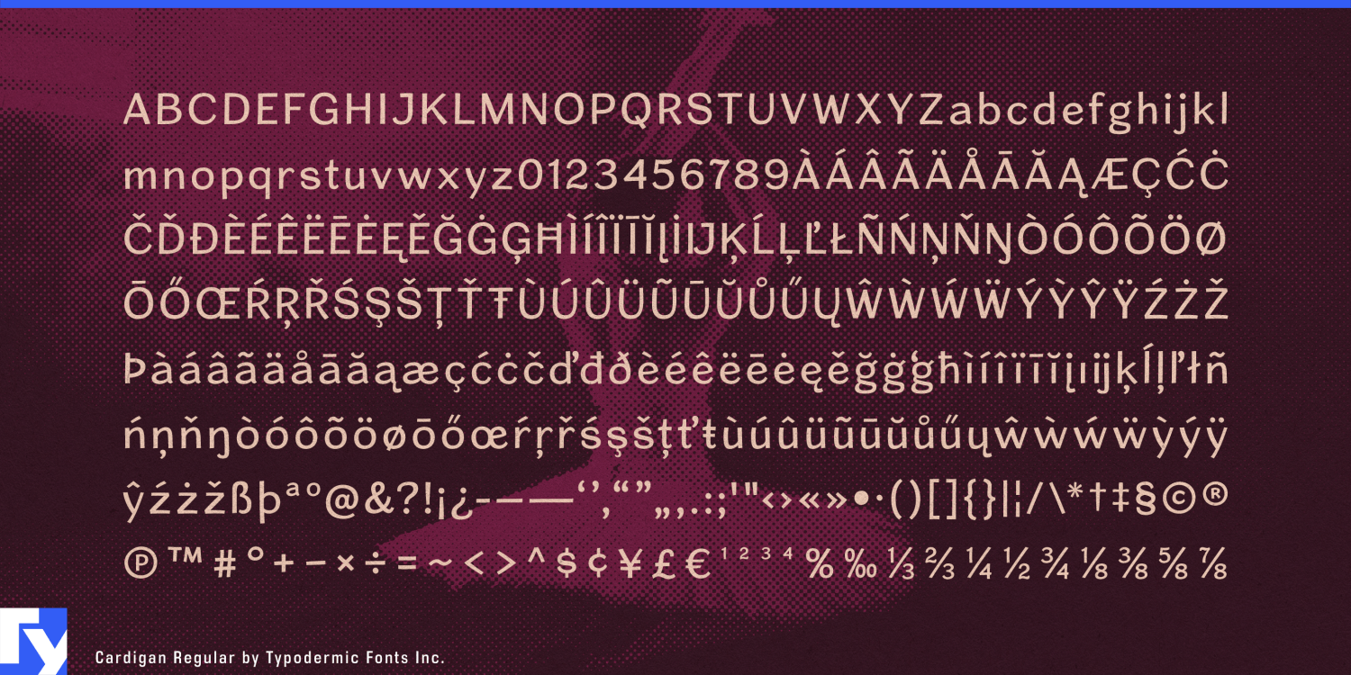 Cardigan Font Poster #1