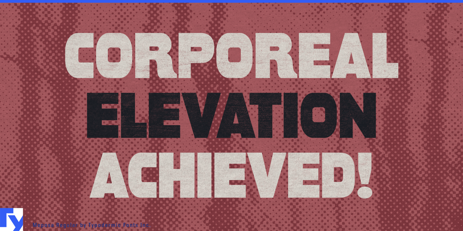 Meposa Font Poster #1