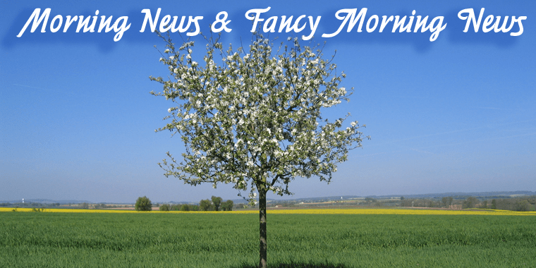 Morning News Font Poster