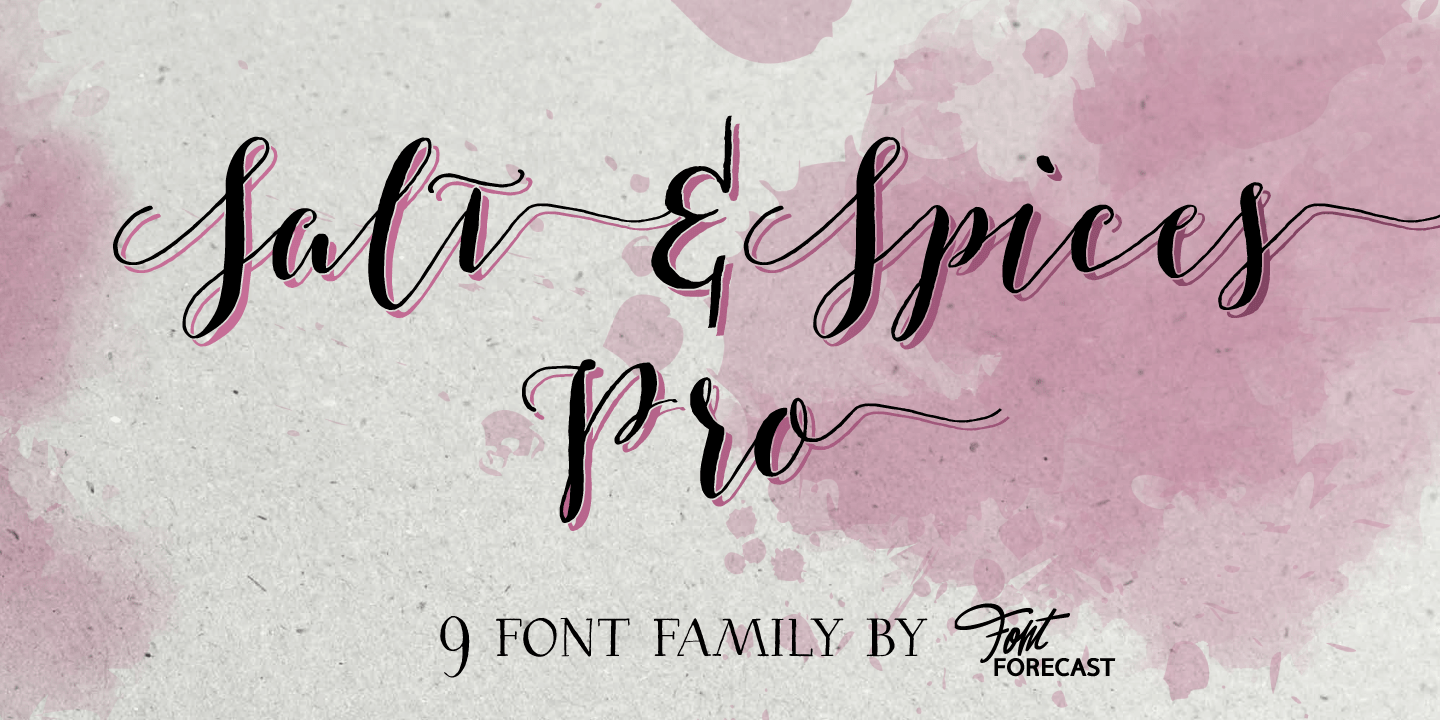 Salt & Spices Pro Font Poster #1