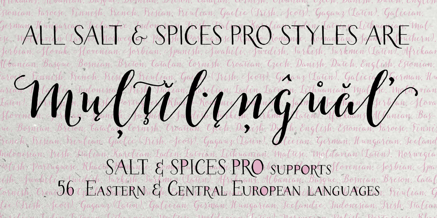 Salt & Spices Pro Font Poster #1
