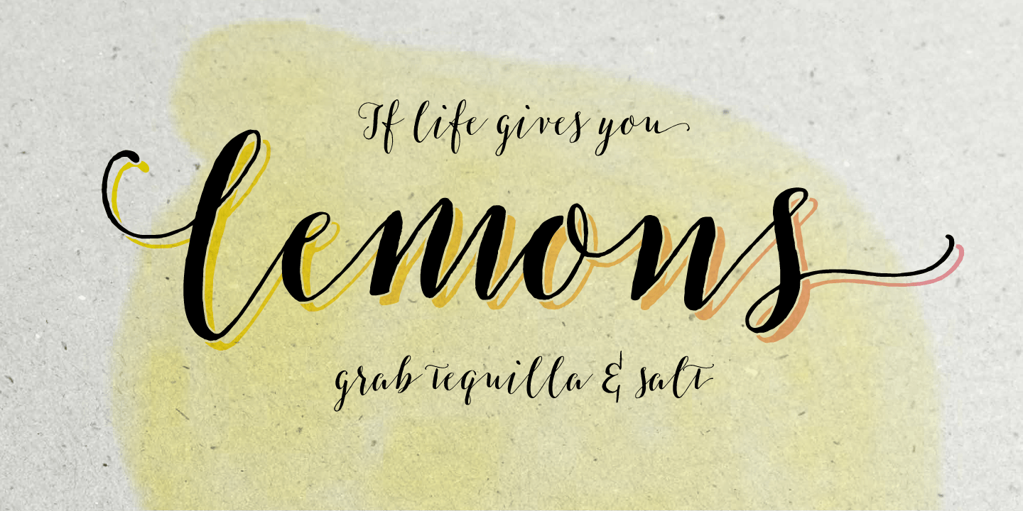 Salt & Spices Pro Font Poster #1