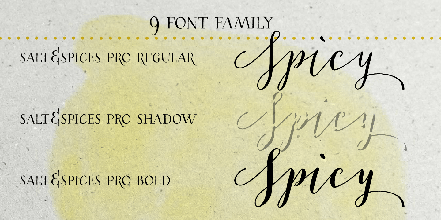 Salt & Spices Pro Font Poster #1