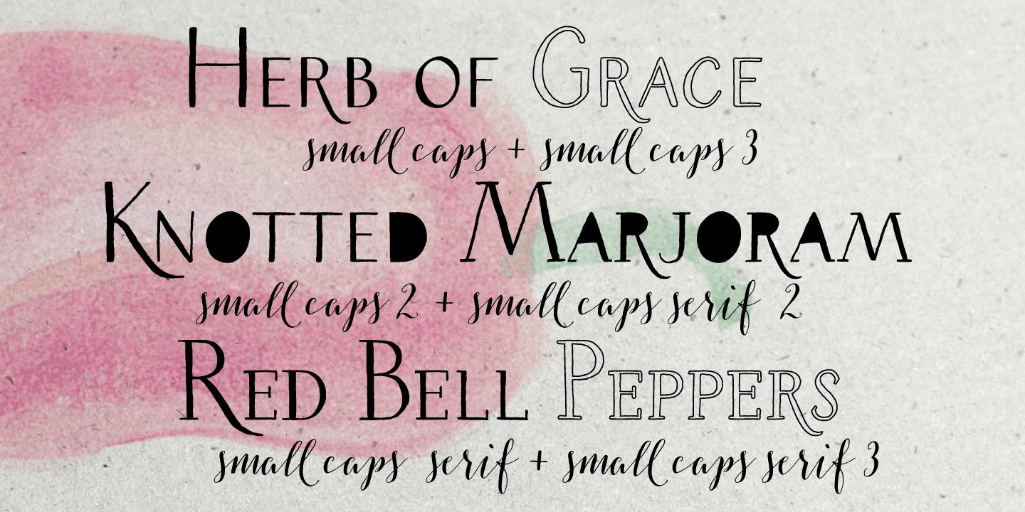 Salt & Spices Pro Font Poster #1