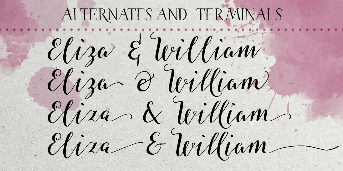 Salt & Spices Pro Font Poster #1