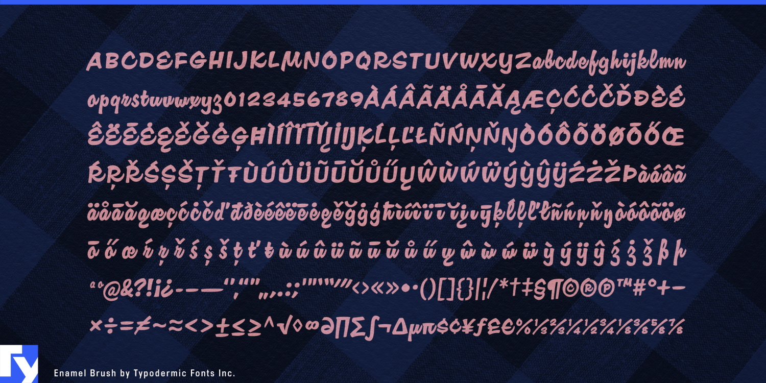 Enamel Brush Font Poster #1