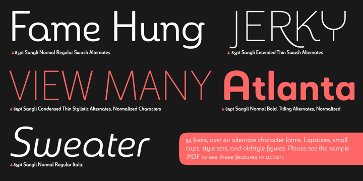 Sangli Font Poster #1