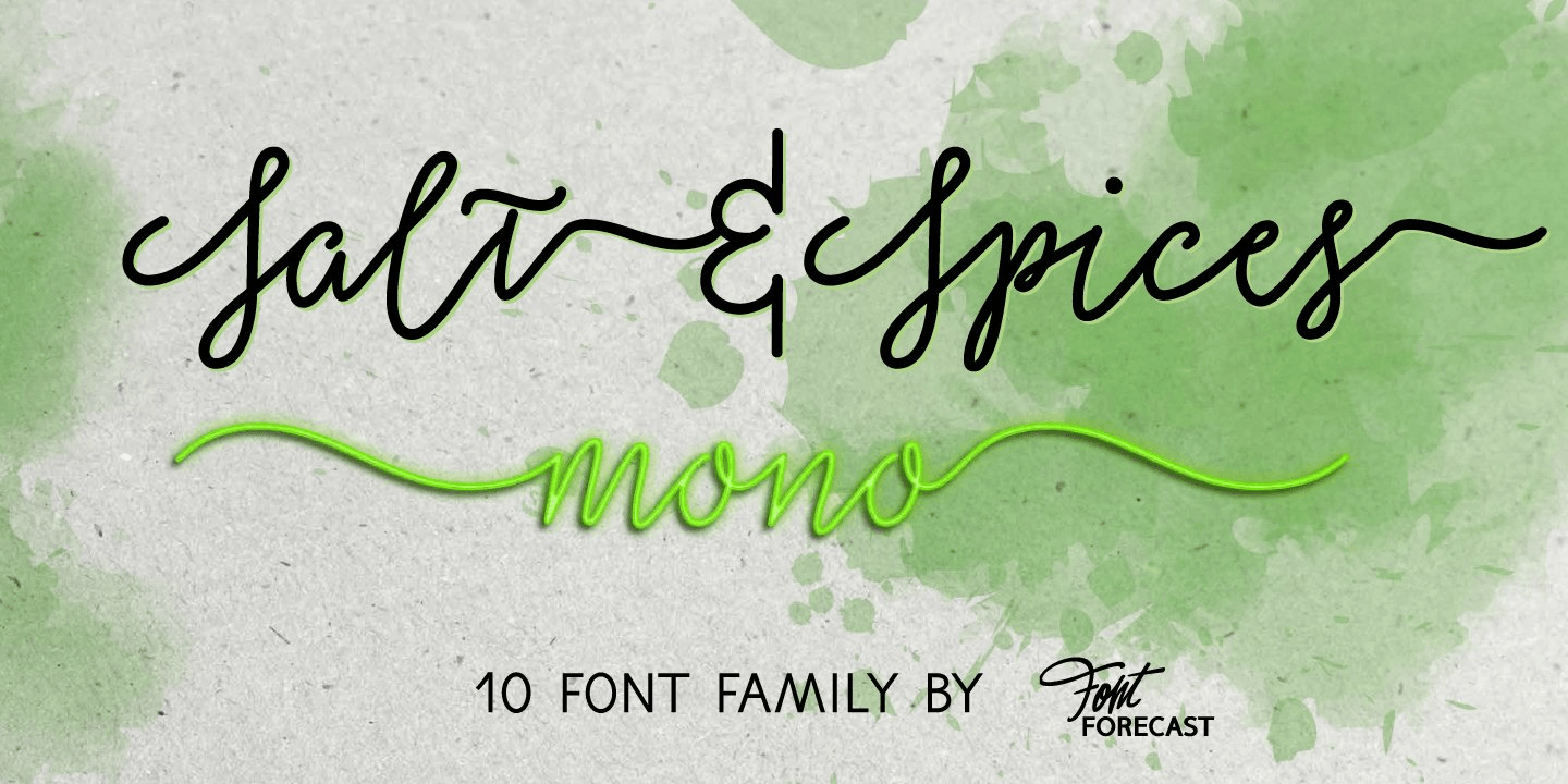 Salt And Spices Mono Font Poster #1