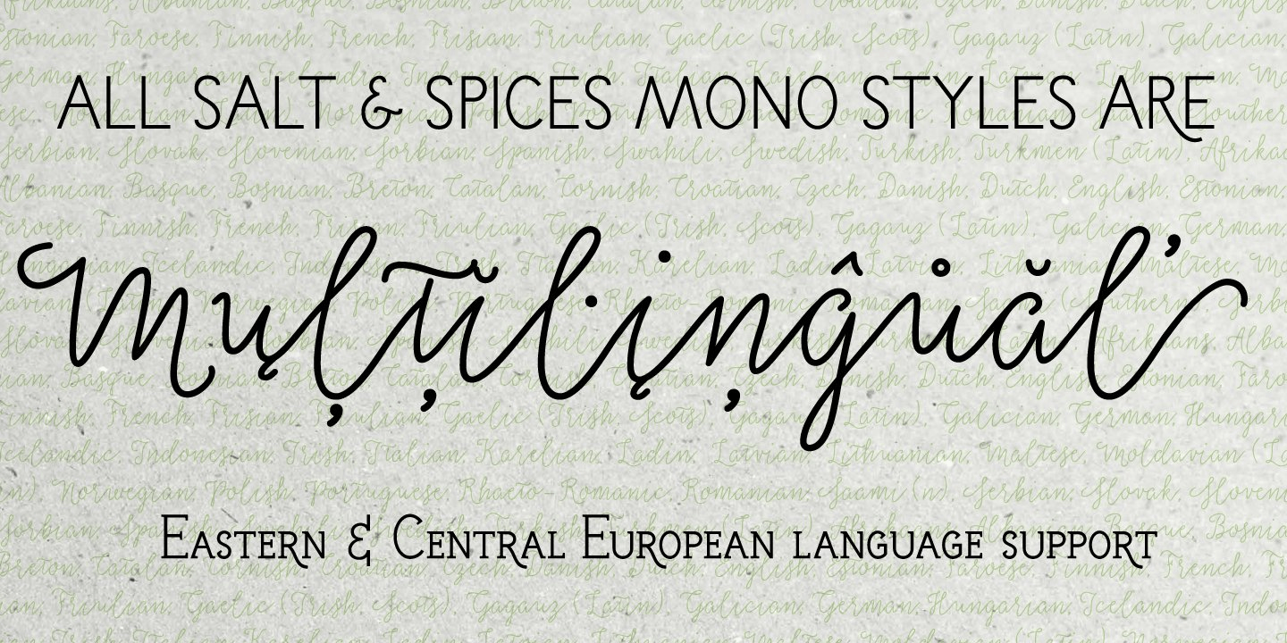Salt And Spices Mono Font Poster #1
