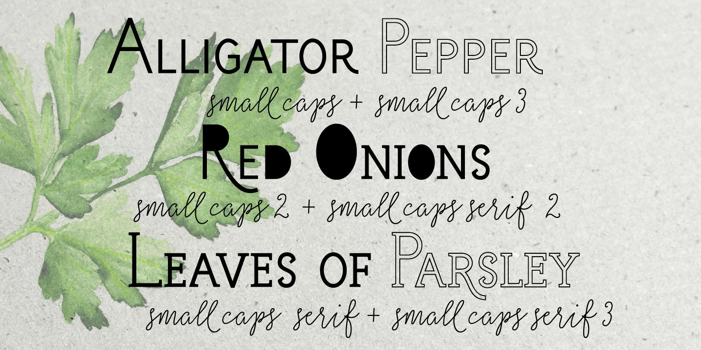 Salt And Spices Mono Font Poster #1