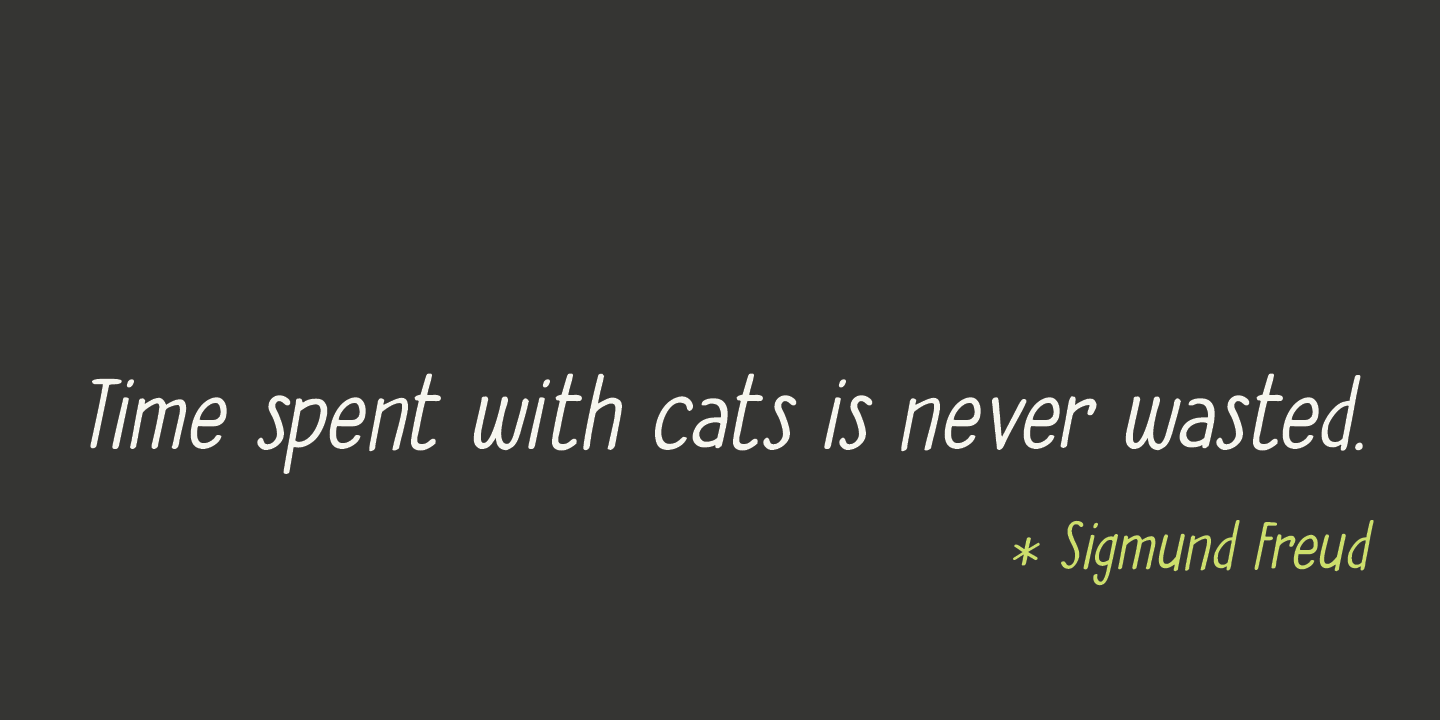 The Cat's Whiskers Font Poster #1
