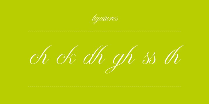 Paulette Font Poster #1