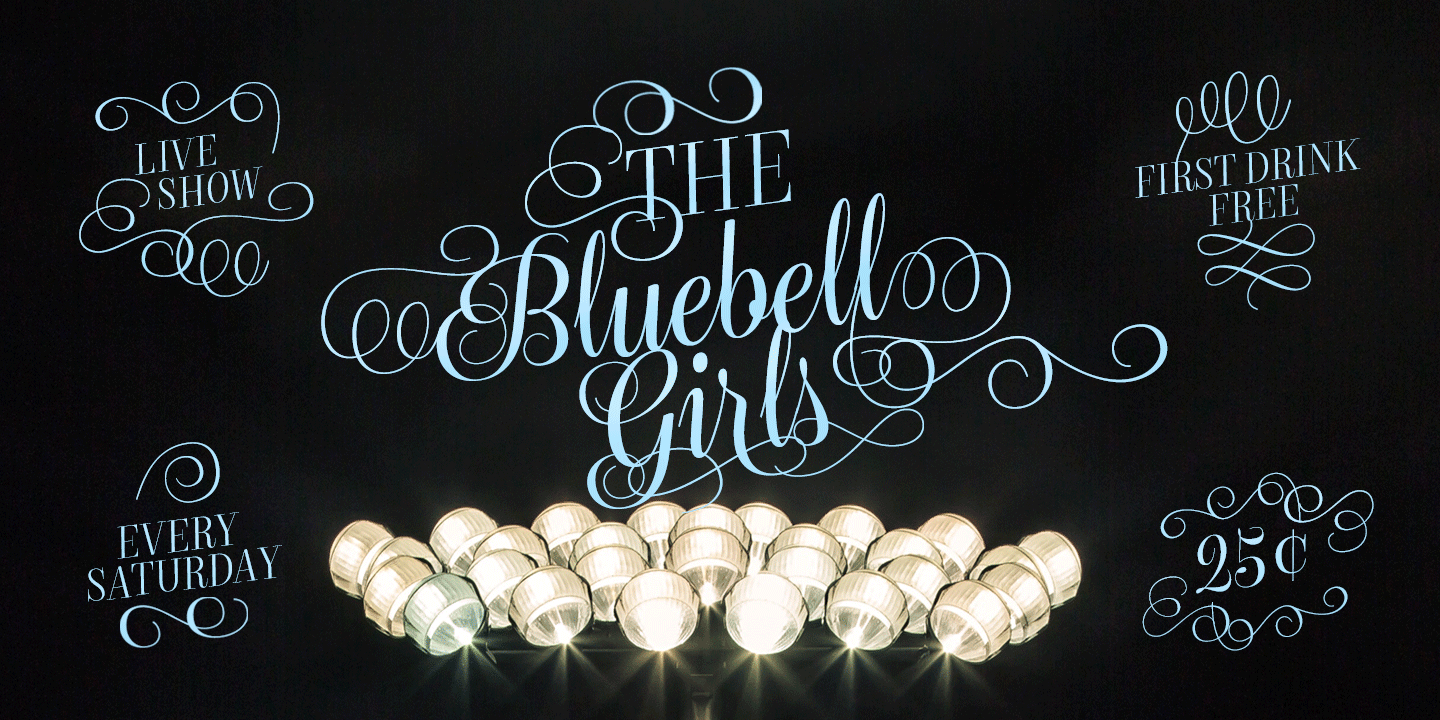 Bluebell Font Family Poster