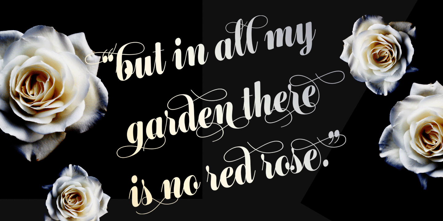 Bluebell Font Poster #1