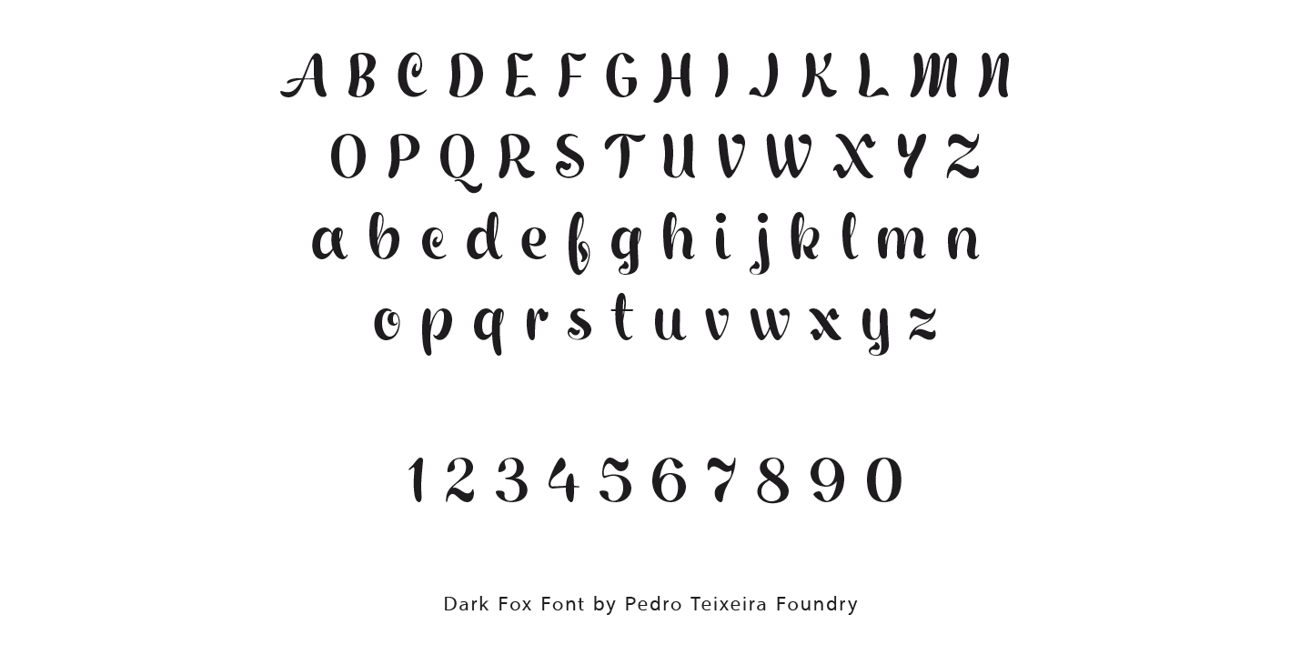 Dark Fox Font Poster #1