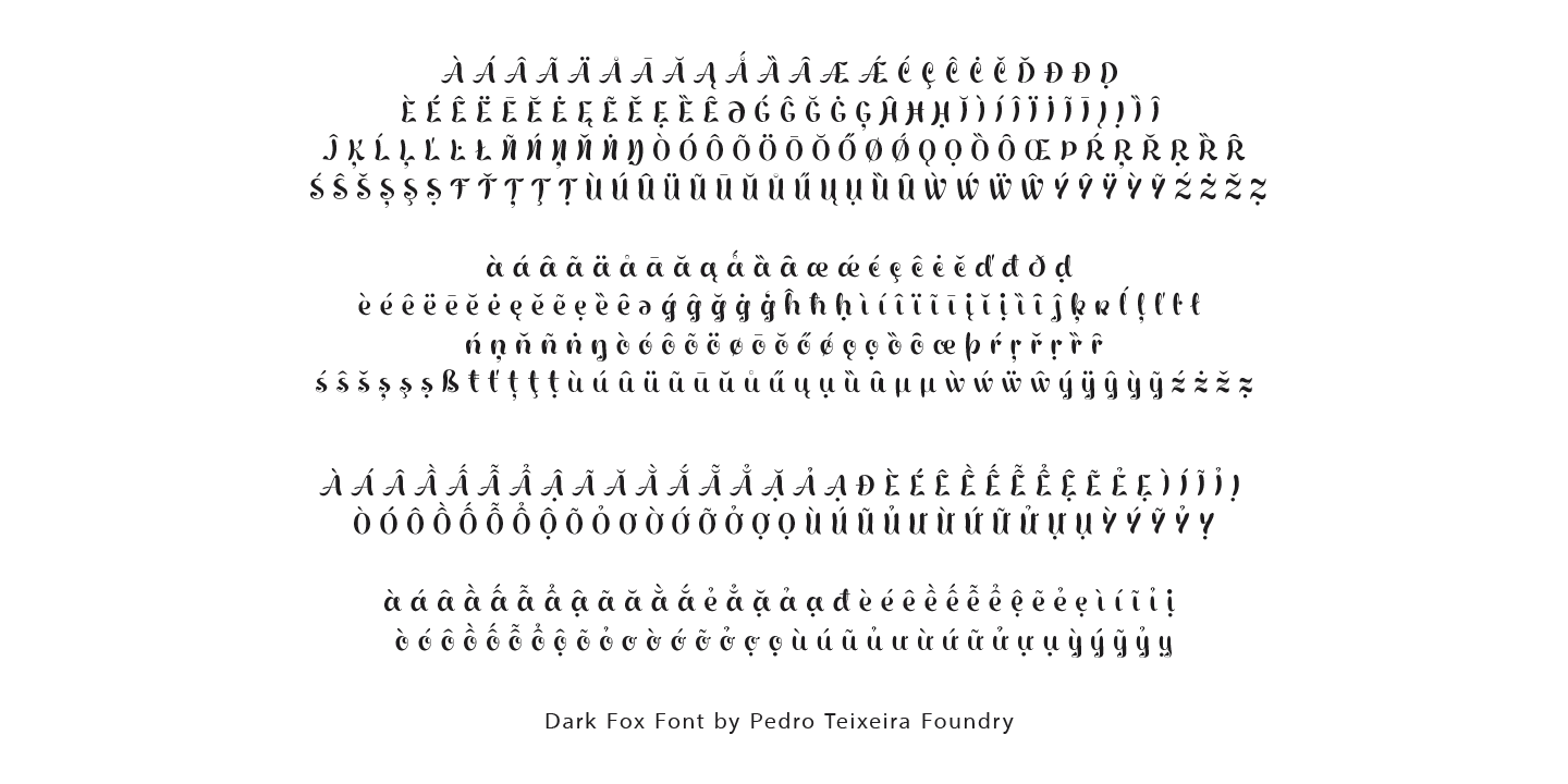 Dark Fox Font Poster #1