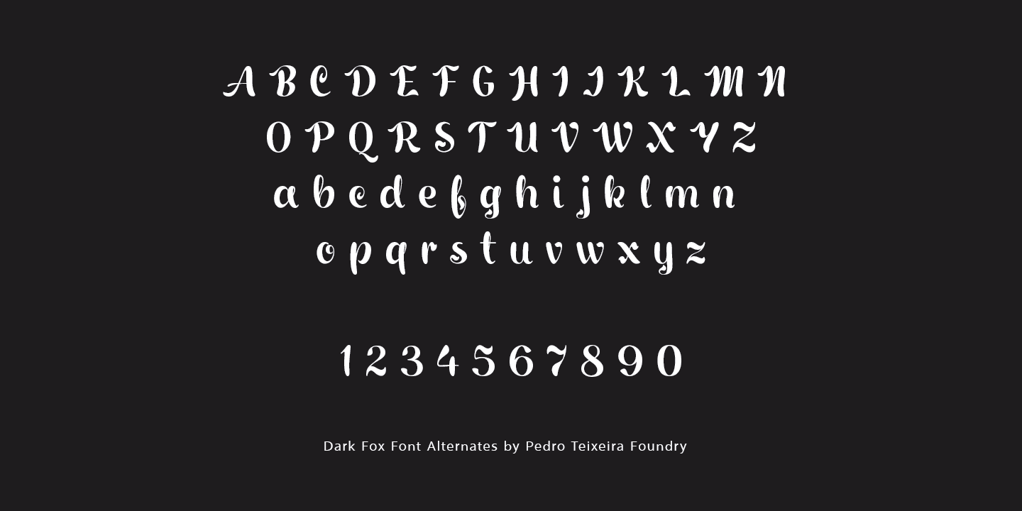 Dark Fox Font Poster #1
