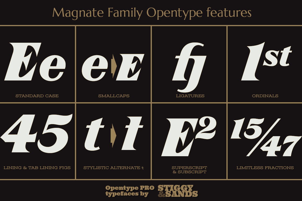 Magnate Font Poster #1