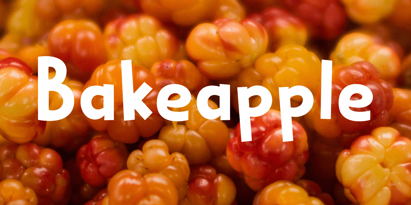 Bakeapple Font Poster #1