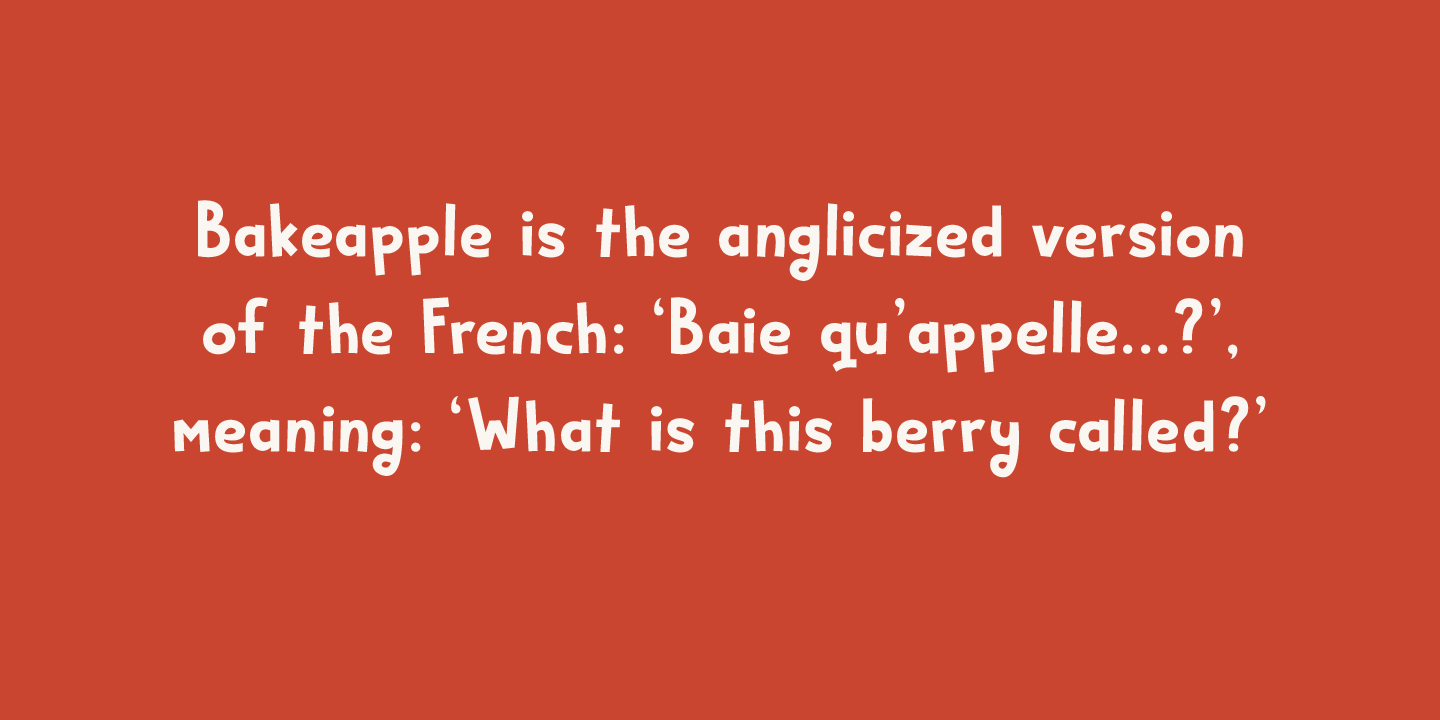 Bakeapple Font Poster #1