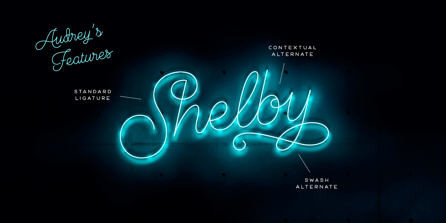 Audrey Font Family Poster