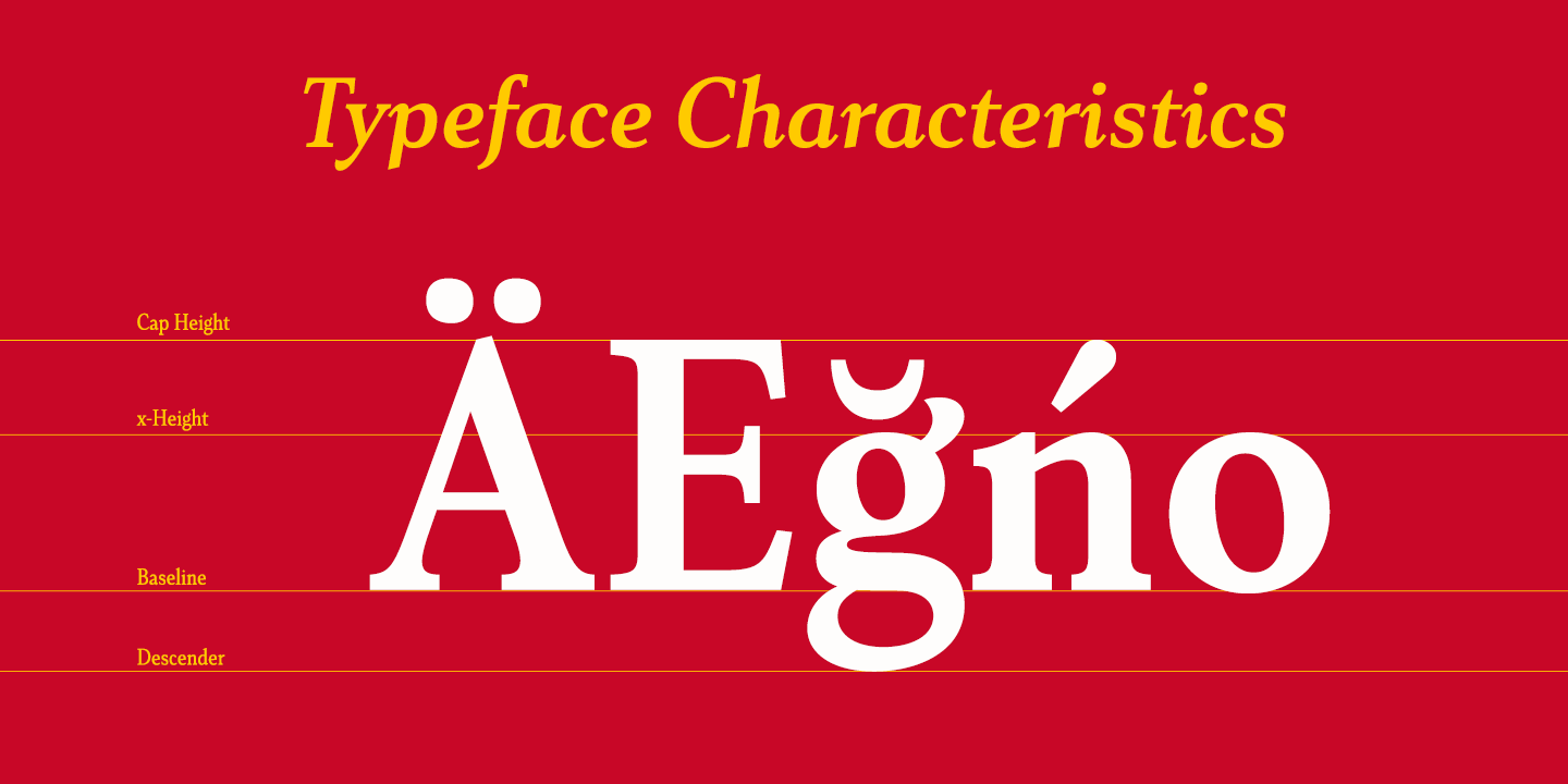 Senlot Serif Font Poster #1
