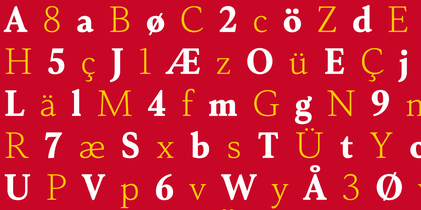 Senlot Serif Font Poster #1