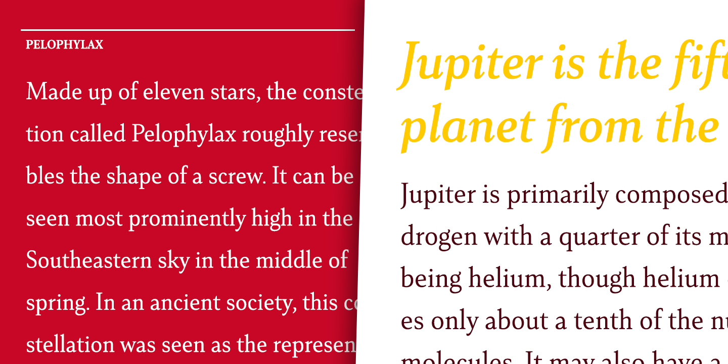 Senlot Serif Font Poster #1