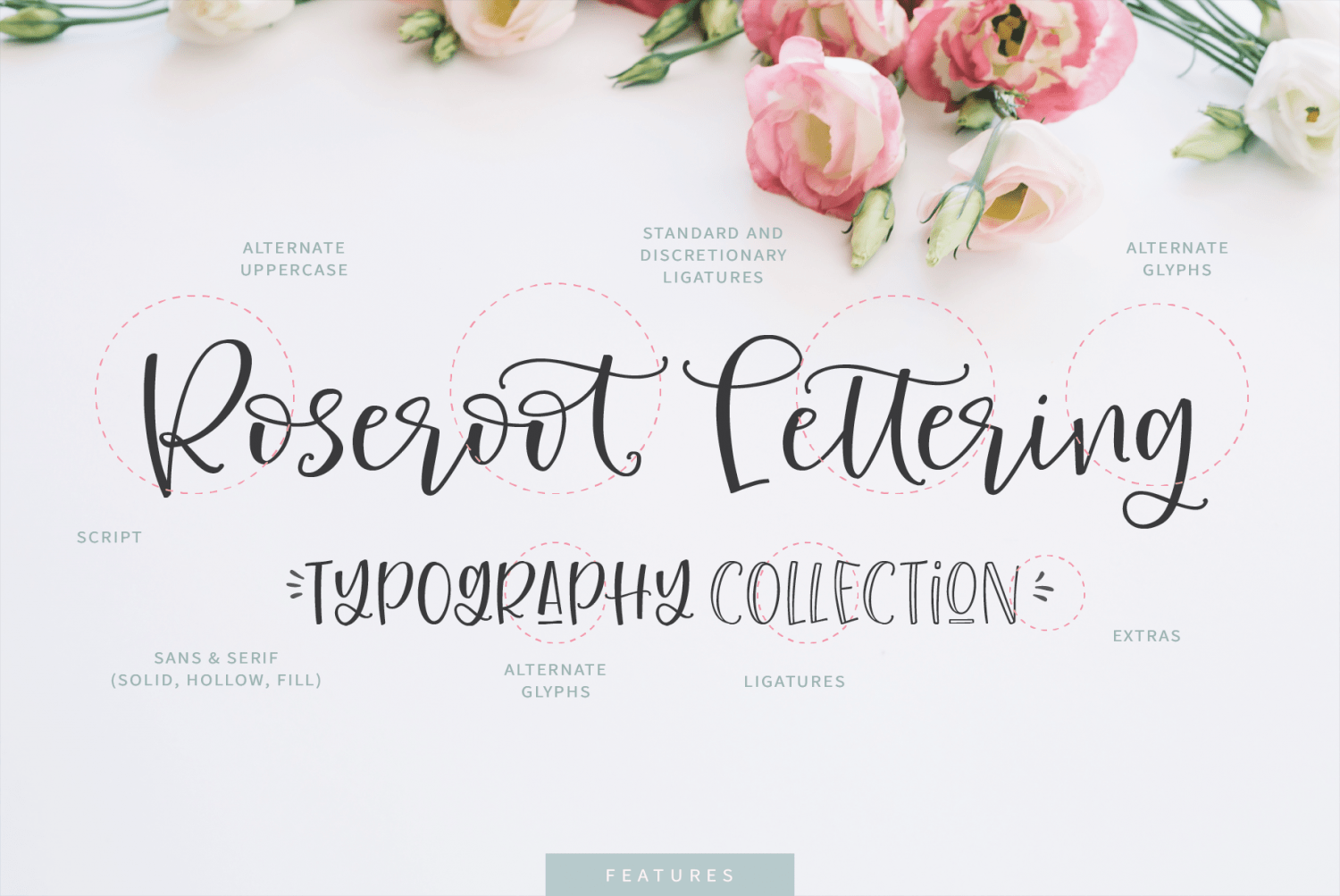 Roseroot Cottage Font Collection Font Poster #1