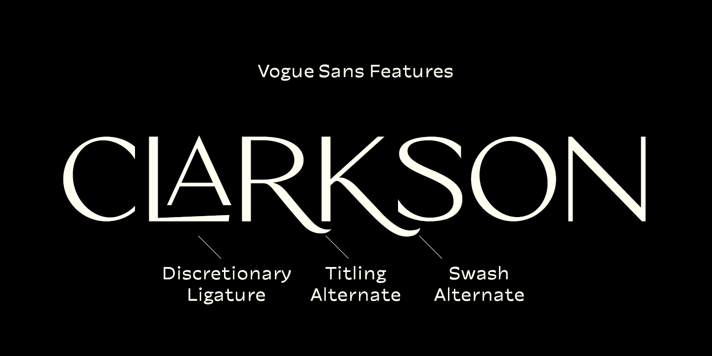 Vogue Sans Font Poster #1