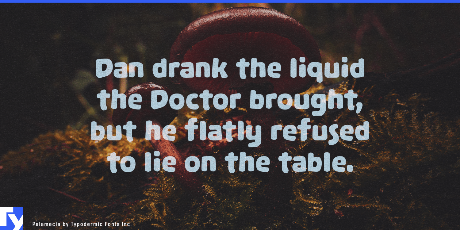 Palamecia Font Poster #1