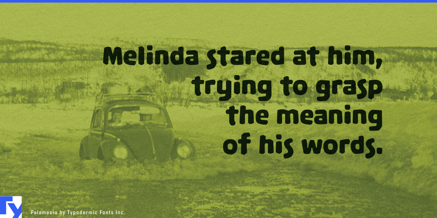 Palamecia Font Poster #1