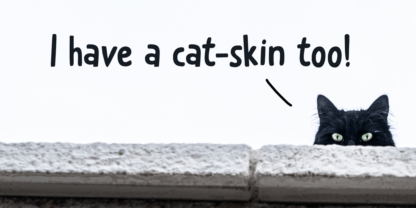Catskin Font Poster #1