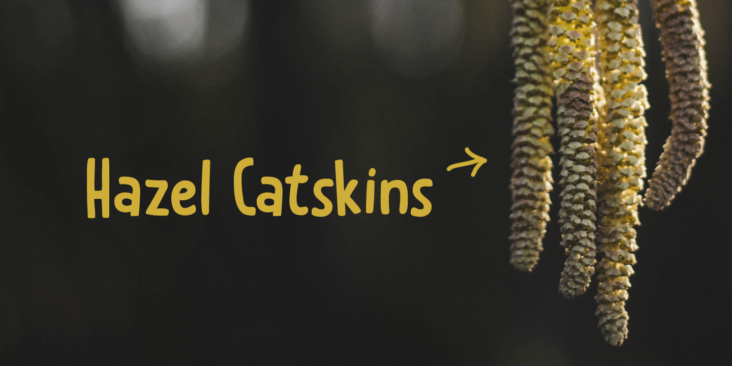 Catskin Font Poster #1
