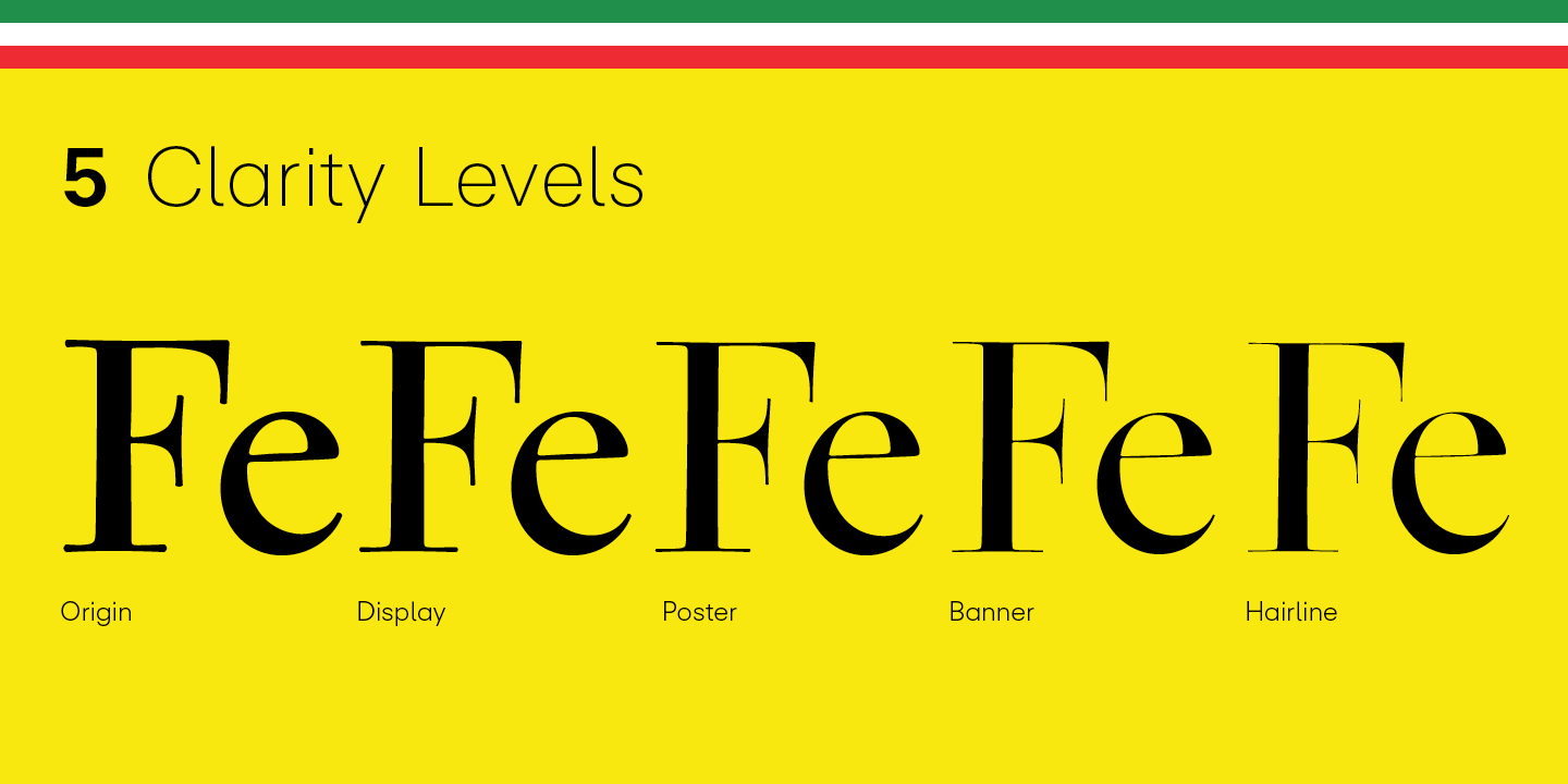 Bodoni Ferrara Font Poster #1