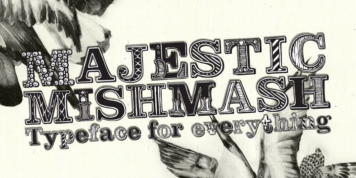 Majestic Mishmash Font Family Poster