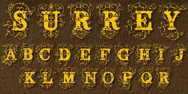 Surrey Font Family Poster