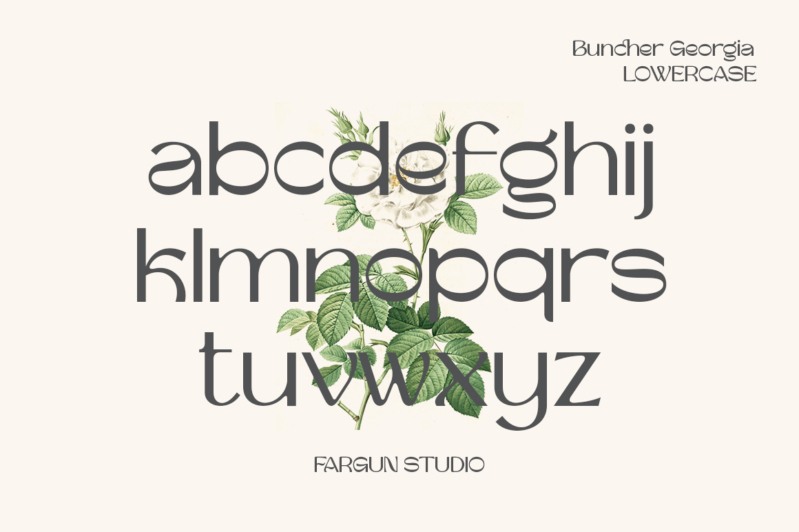 Buncher Georgia Font Poster #1
