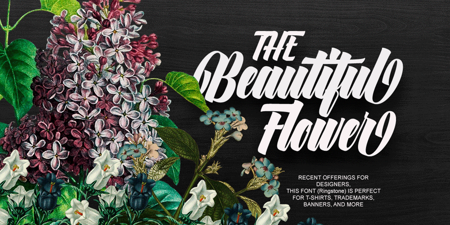 Ringstone Regular Font Poster #2