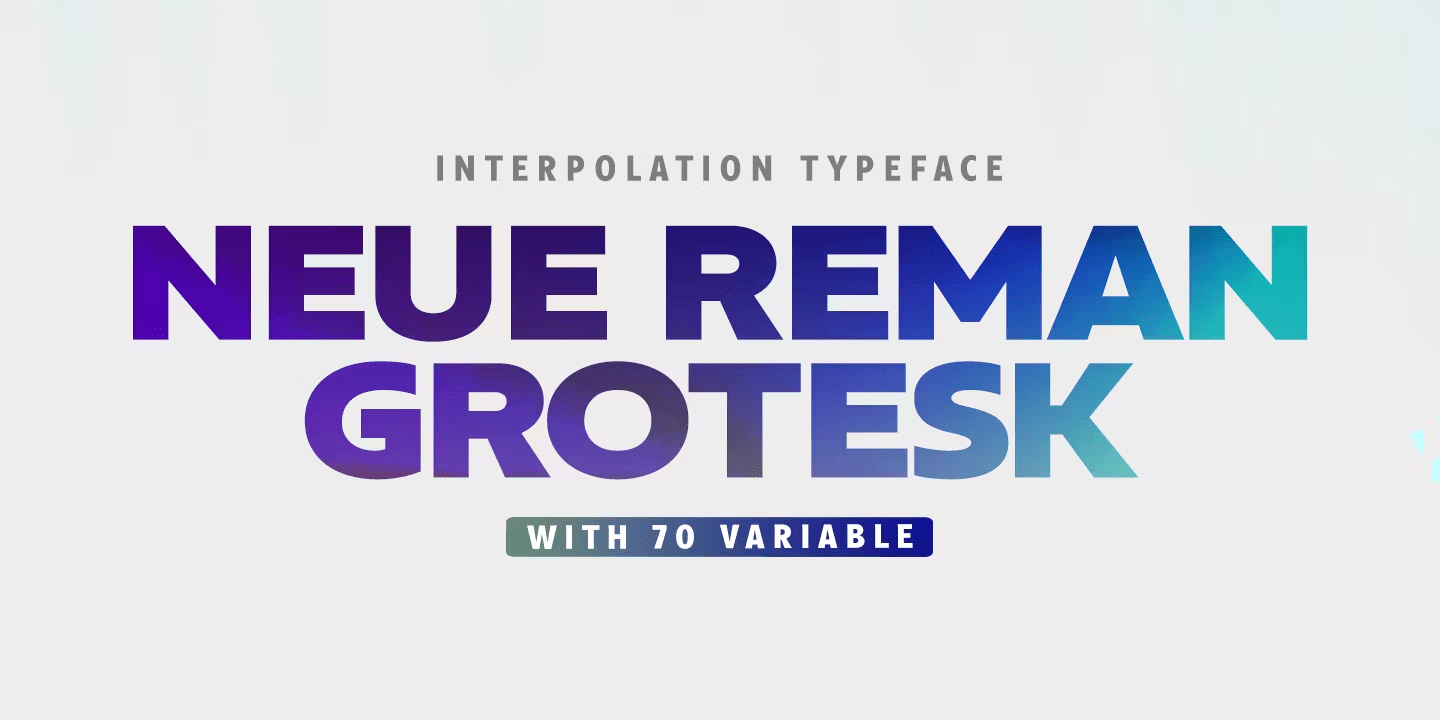 Neue Reman Grotesk Font Family Poster