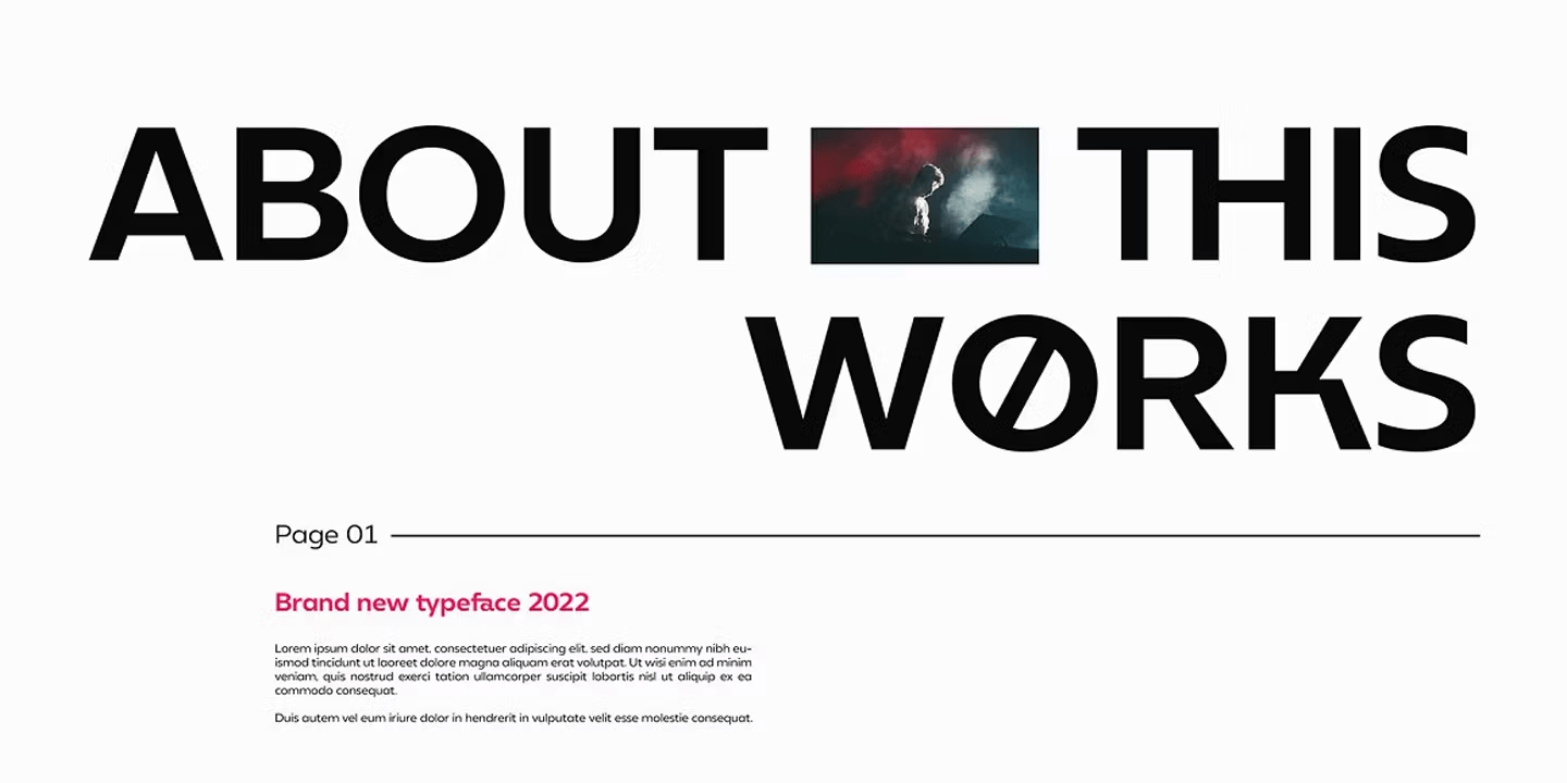 Neue Reman Grotesk Font Poster #14