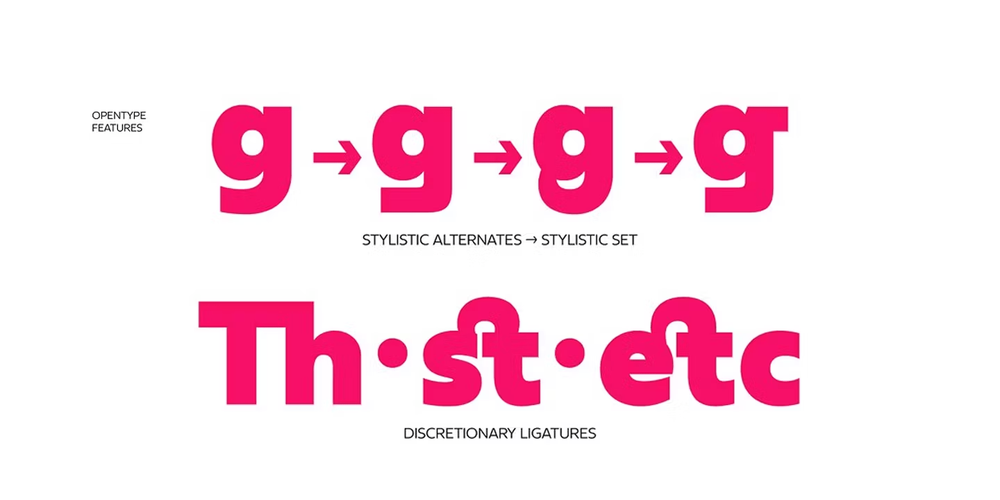 Neue Reman Grotesk Font Poster #15